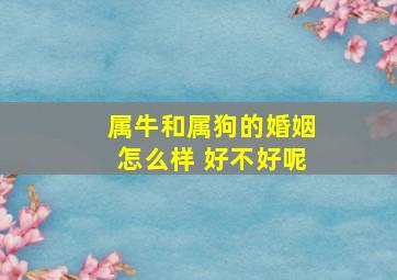 属牛和属狗的婚姻怎么样 好不好呢